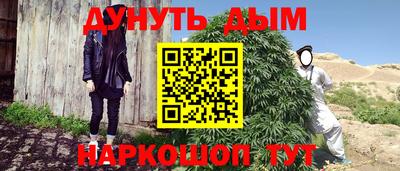 гашик Тара