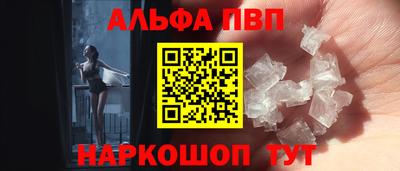 гашик Тара